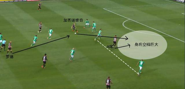  法兰克福中场核心重伤，赛季报销引震动  